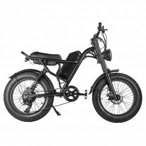 Z8 Electric Bike 20*4.0''...